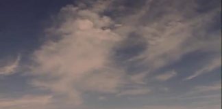 Apartheid Did Not Die