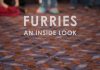 Furries: An Inside Look
