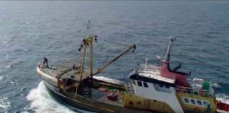 Oceans: Earth – The Power of the Planet