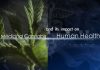 Medicinal Cannabis and its Impact on Human Health