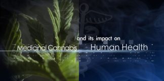 Medicinal Cannabis and its Impact on Human Health