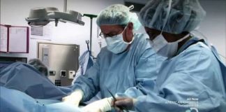 How Beer Saved the World