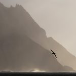 Landscapes at the World’s Ends