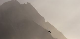 Landscapes at the World’s Ends