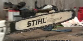 Cari Hutan: In Search of Forest