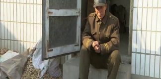 101 East – China – Slipping Through the Cracks