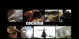 Cocaine: History Between the Lines