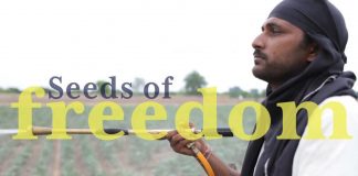 Seeds of Freedom