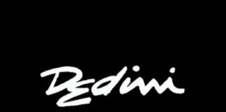 Dedini: A Life of Cartoons