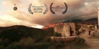 Mushrooms of Concrete