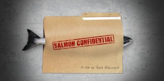 Salmon Confidential