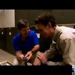 Origins And Evolution