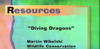 Galapagos: Beyond Darwin