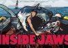 Inside Jaws