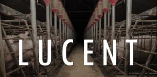 Lucent