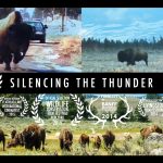 Silencing the Thunder