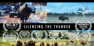 Silencing the Thunder