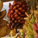 Banana Land: Blood, Bullets and Poison