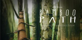 Bamboo Path Origin