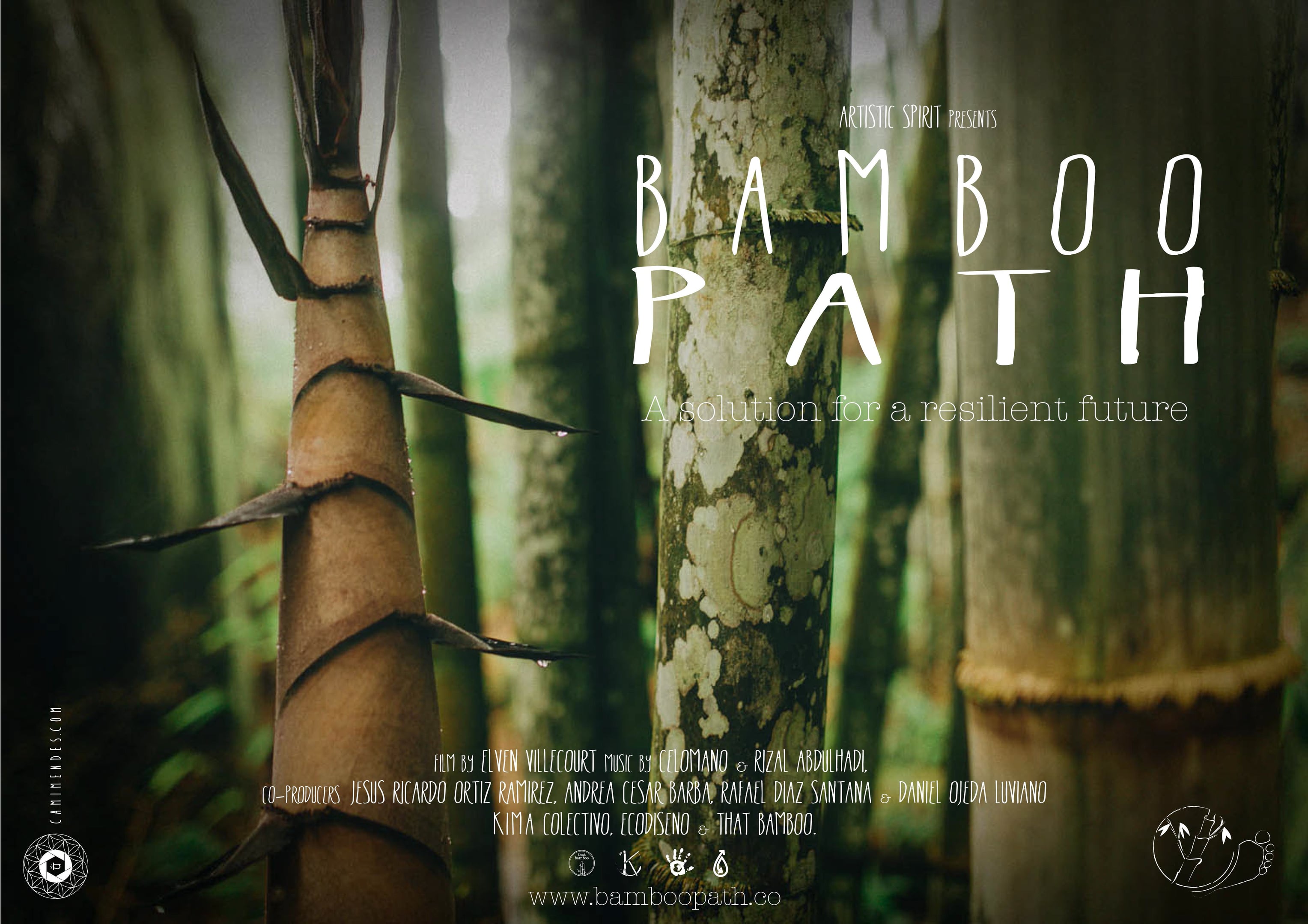 Bamboo Path Origin: Exploring the Cultural and Historical Significance ...