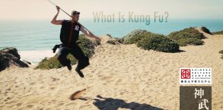 What is Kung Fu?