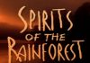 Spirits of the Rainforest