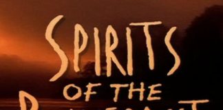 Spirits of the Rainforest