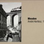 The Genius of Photography