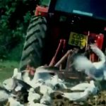 Natural World: A Farm for the Future