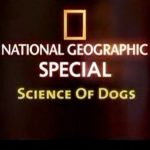 Science of Dogs