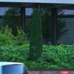 The Other Side of Jimmy Savile