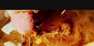 Riddle of the Sphinx