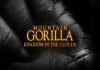 Mountain Gorilla