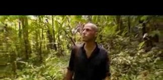 Darwin’s Secret Notebooks