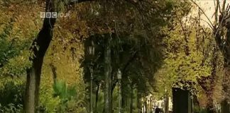 Atom: Clash of The Titans