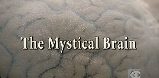 Mystical Brain