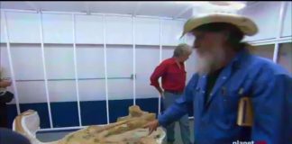 Secrets of the Dinosaur Mummy