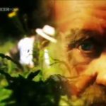 Darwin’s Struggle: The Evolution of the Origin of Species