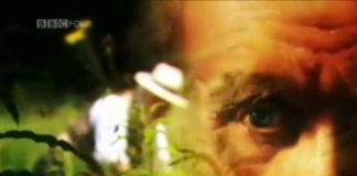 Darwin’s Struggle: The Evolution of the Origin of Species