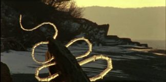 Andy Goldsworthy’s Rivers and Tides