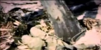 Pacific The Lost Evidence: Guam