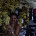 Britain on the Fiddle