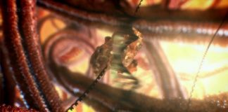 The Secret Micro Universe: The Cell