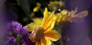 Invisible Worlds: Speed Limits