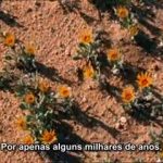 The Incredible Human Journey