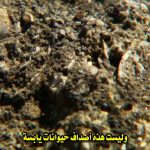 Richard Hammond’s Journey To The Centre of the Planet