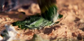 The Story of Science: Who Are We?