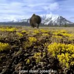 Walking with Beasts – Mammoth Journey