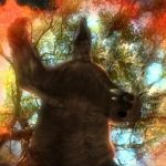 The Universe: It Fell From Space