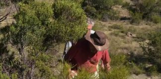 Your Inner Fish: Your Inner Reptile